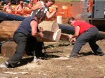 Logger Show 3